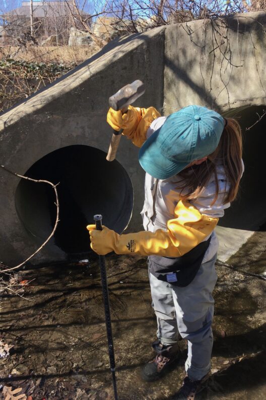 Mary McWilliams inserting rebar into streambed for Tidbit attachment.